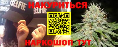 индика Тулун