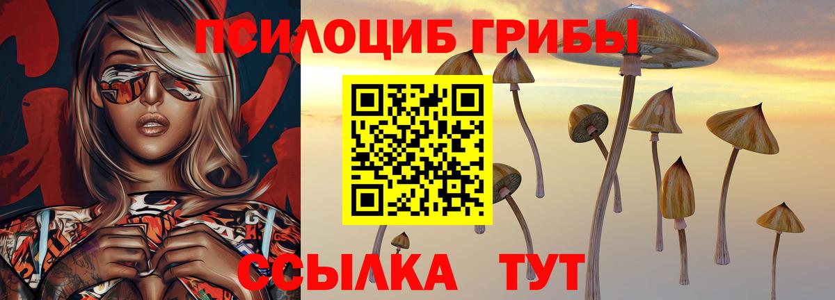Михайловка  Галлюциногенные грибы Psilocybine cubensis  Вход с VPN  Псилоцибиновые грибы мицелий 