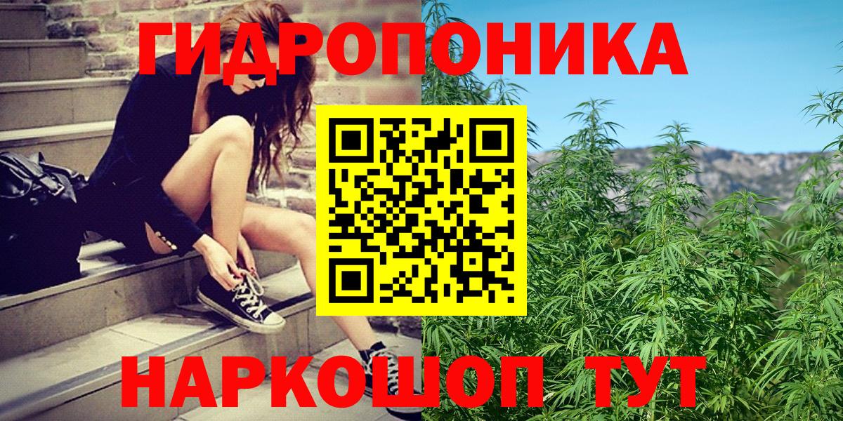 Шишки марихуана планчик Михайловка